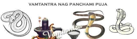 nag panchami, naag devta pooja