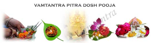 puja to get rid of pitra dosh in the horoscope.