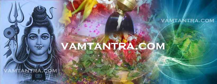 how to please lord shiva with rudrabhishekam