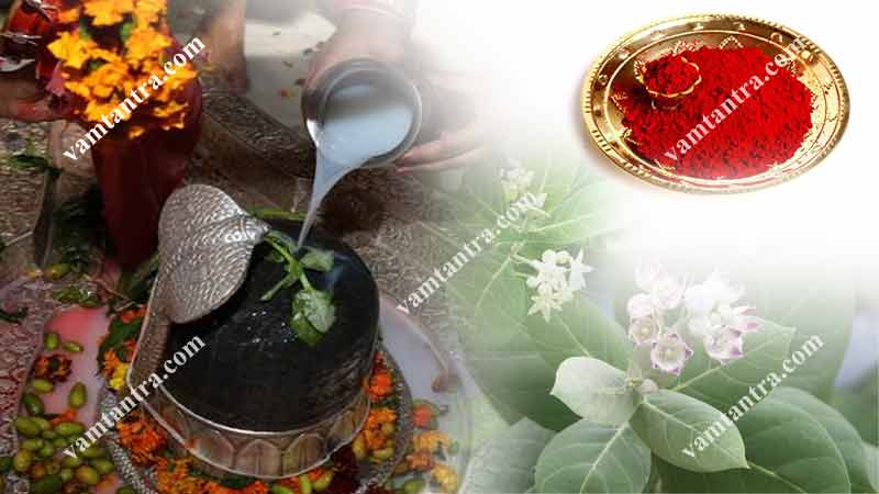 anant kaal sarp dosh remedies