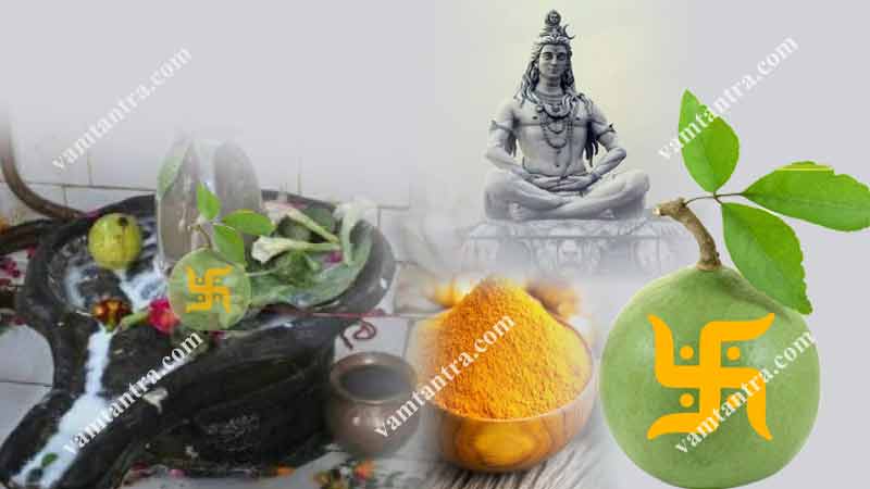 ananta kala sarpa dosha effects and remedies