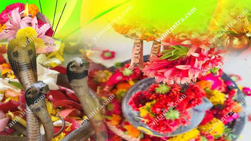 nag panchami pooja