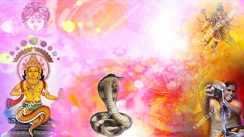 nag panchami for kaal sarp dosh nivaran